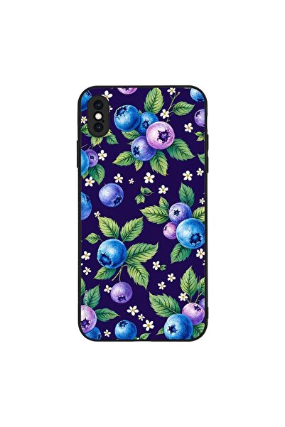 Sonique Θήκη Fruit Series για Apple iPhone XS MAX Μύρτιλο 01