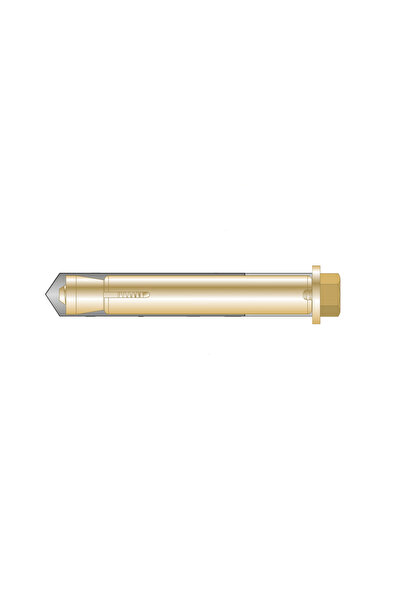 Rocast Set 25 x Conexpand Strapung Tip8-M10x100 AA.14810100S