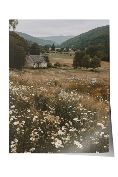 Zestia Vintage Wall Poster, Lonely Cottage in the Valley Poster No: 20099