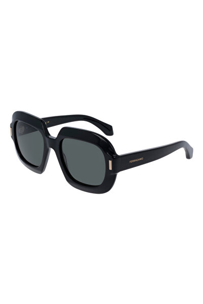 Ferragamo SF2068SE54200