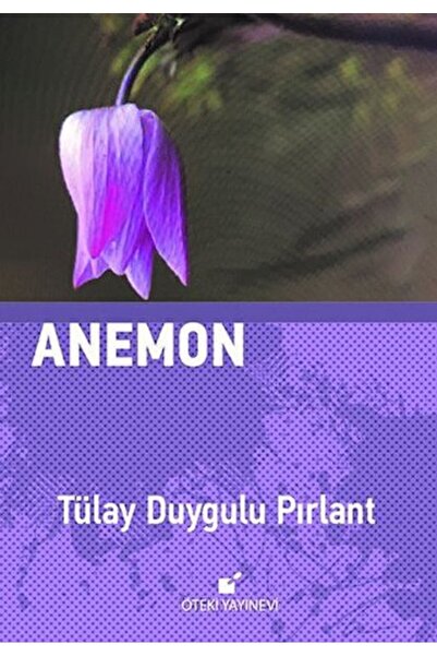 Öteki Yayınevi Anemon