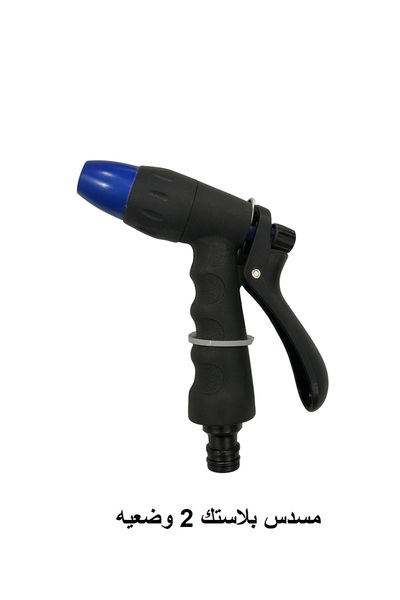 Rain 2-Mode Water Spray Gun