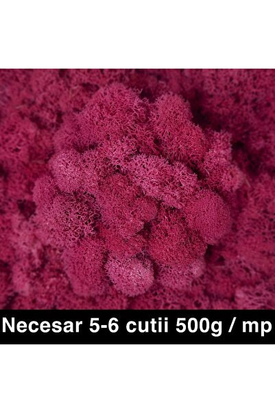 Roberto Rossi Licheni curatati si fara radacina conservati 500g NET, calitate...