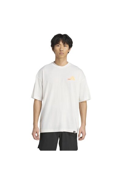 adidas Ανδρικό T-shirt GFX TEE JOY Q3