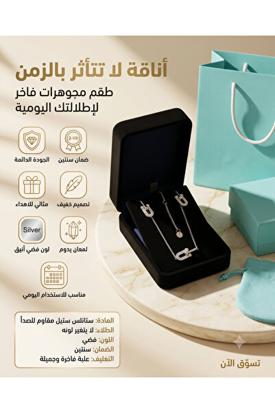Rexon Elegant Silver Color U Shape Stainless Steel Necklace and Earring Set