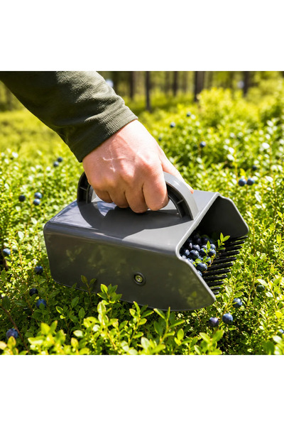 Gardlov Culegător manual de fructe de pădure, negru