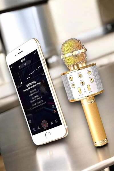 Lisinya Şarjlı ve Uzun Pil Ömürlü Karaoke Mikrofon USB Bellek Destekli, Profe...