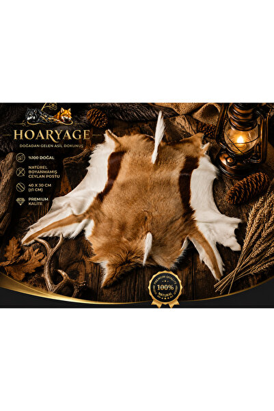 hoaryage Hakiki Tüylü Ceylan Derisi , Bütün Ceylan Postu 40 x30 Cm