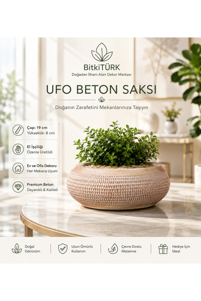 BitkiTÜRK 🌿 UFO Beton Saksı Bonsai Dekoru – Masaüstü Beton Saksı, Bonsai Sak...