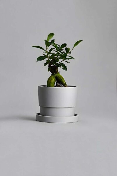 VASODEK Dekoratif Beton Saksı V-124-AÇİK GRİ