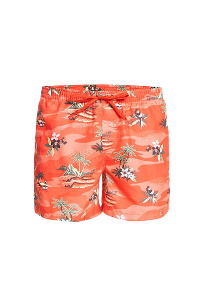 Quiksilver Șorturi de baie pentru bărbați, de zi cu zi, cu imprimeu peisaj, 1...