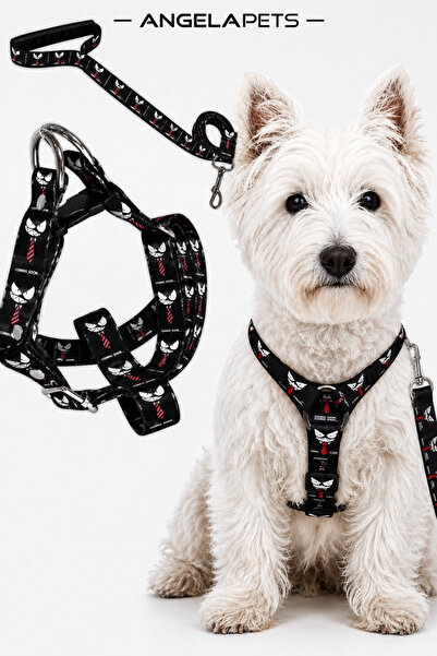 Angelapets Dog Chest Harness and Walking Strap Set
