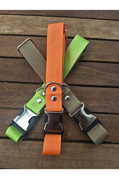 Loyal Friend Store Köpek boyun tasma 35-55 cm 3lü set