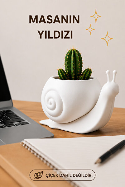 İBERİALHOME Dekoratif Salyangoz Biblo Saksı | Sukulent ve Kaktüs Saksısı | Ma...