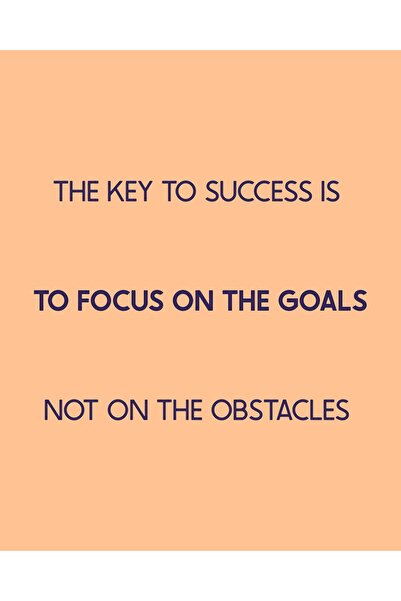 OEM Canvas Motivational montat pe sasiu