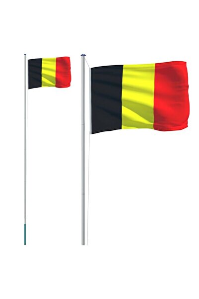 vidaxl Steagul Belgiei și stâlp de aluminiu, 6,08 m