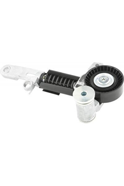 FEBEST Intinzator curea, curea distributie 0190-3ZRFAE