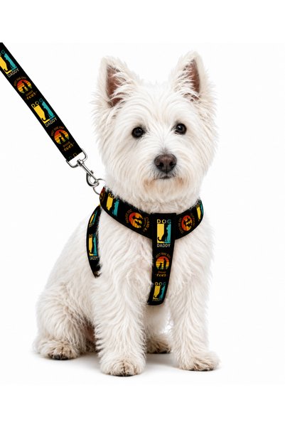 Angelapets Dog Chest Harness and Walking Strap Set