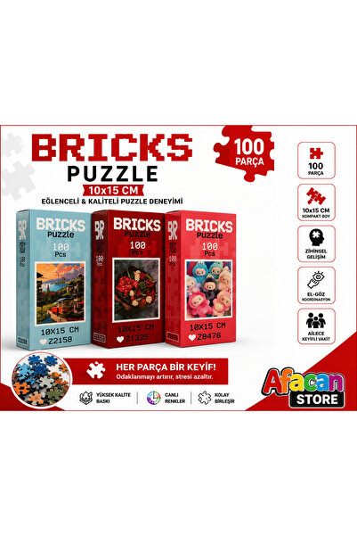 Bricks Puzzle 100 Parça Mini Puzzle 10x15 cm – Eğitici ve Eğlenceli Yapboz