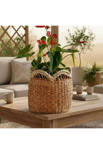 PAN HOME Tezza Seagrass Storage Basket 30x34x32cm- Natural &white