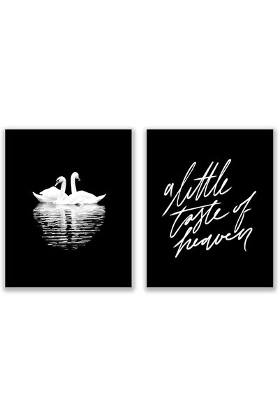 ESSESORIES Black White Romantic Swans Photography Glossy Monochromatic Music ...