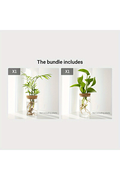 Choice3 2pcs 1pc, Hydroponics Plants Desktop Glass Planter Vase For Home Deco...