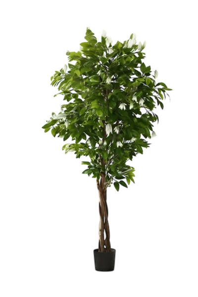 OEMS Vex Tree