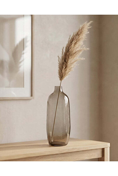 REDTAG Brown Glass Decorative Vase