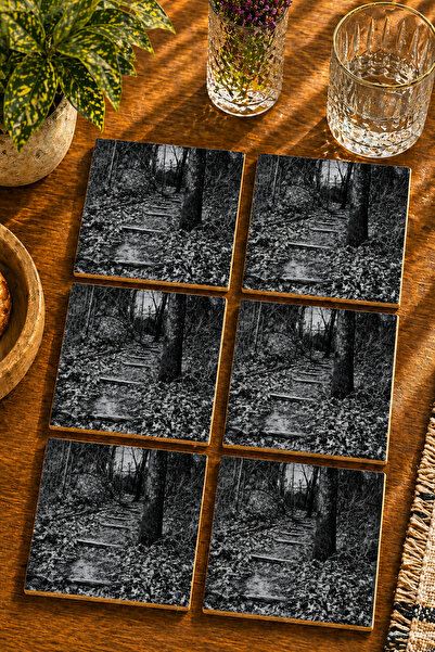 JHAAR Autumn Season Nature Scenery Modern Set of 6 Coasters - Uv Printing Mdf...