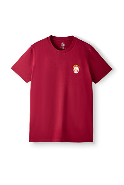 GSStore Galatasaray Erkek T-Shirt E261085