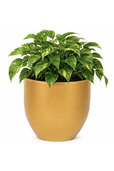 PUFO Ghiveci decorativ din metal pentru grădină, Ø 16 cm, auriu