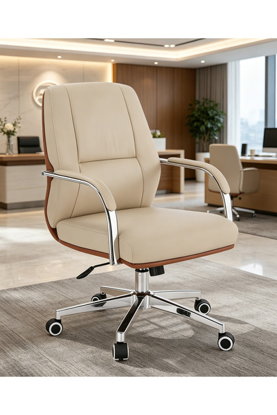 GoldenLike Mid-Back Executive Office Chair, Ergonomic PU Leather Desk Chair w...