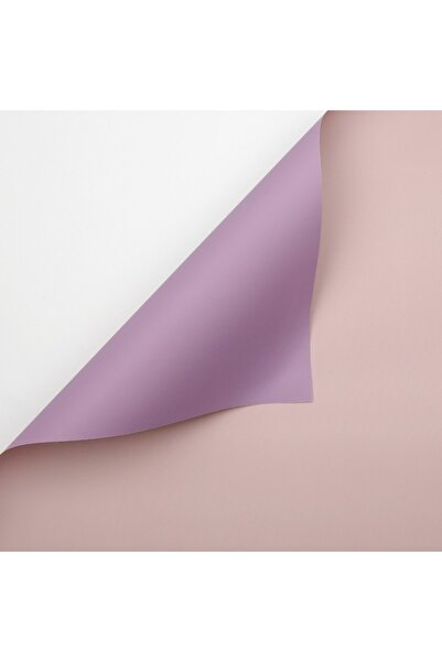 OEM Lilac Plastic Bicolor Cellophane 58x58 cm