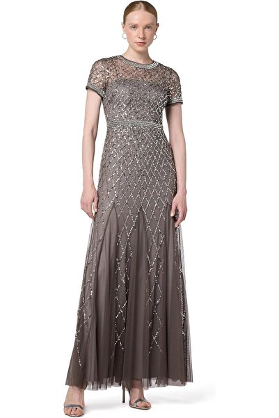 Adrianna Papell Women's Short Sleeve Embroidered Mesh Dress