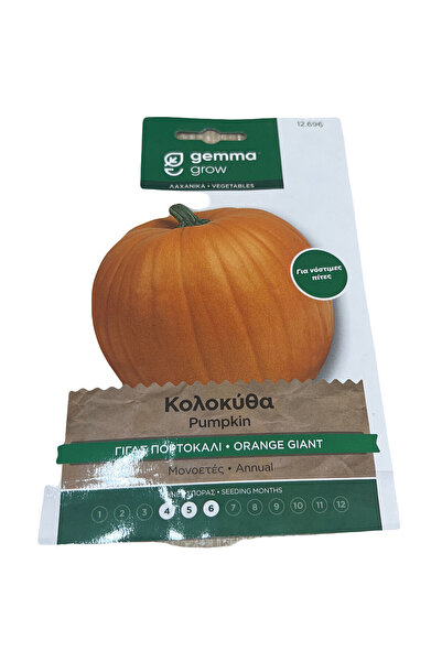Gemma Σπόρος κολοκύθας