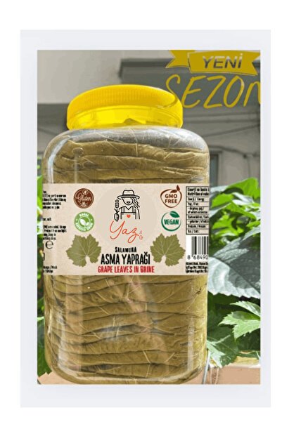 YazCo Manisa Sultaniye Premium Ilk Hasat Ince Damarsız Salamura Uç Asma Yapra...
