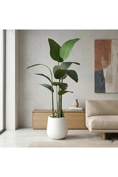 Al Hadaya Mall Artificial Banana Tree with Modern Classic Design and Plastic ...