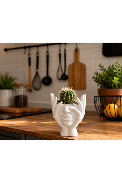 GreenWay3D 3D Baskı Yüz Figürlü Kaktüs Sukulent Saksısı 8 cm Dekoratif Mini S...