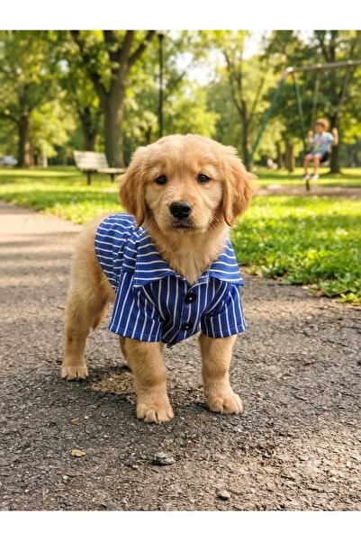 PATİZİSHOP Cat & Dog Blue-White Striped Summer Shirt