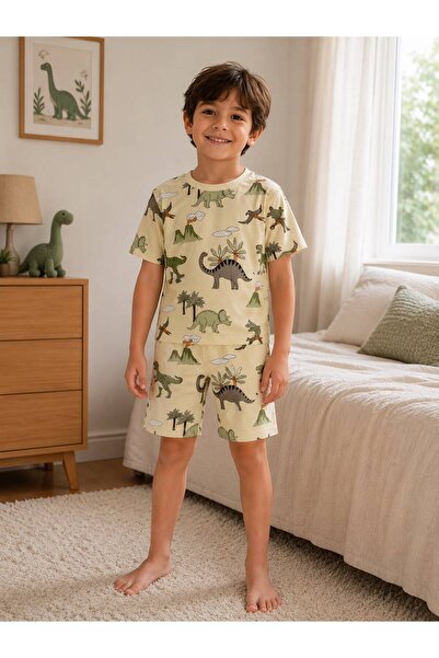 byalisdmr Boys' Shorts Suit 100% Cotton Single Jersey Fabric Dinosaur Mountai...