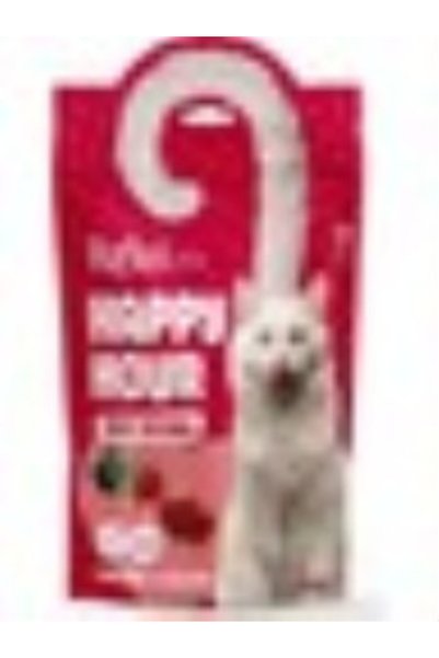 Reflex Plus Happy Hour Love Edition Kedi Ödül Maması 60 gr