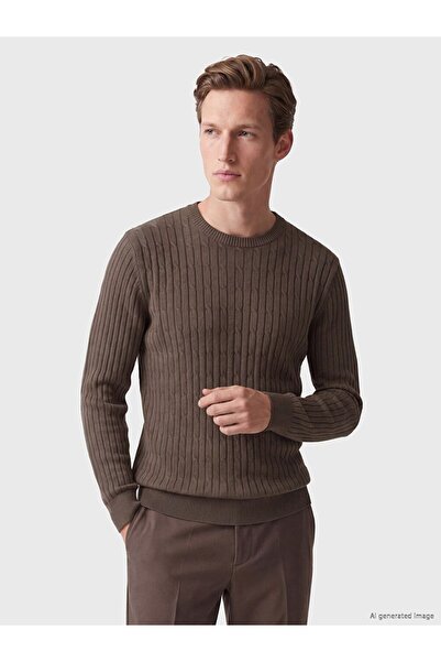 LC Waikiki Southblue brown crew neck men's knit sweater