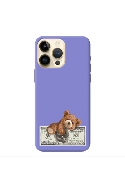 Other Apple iPhone 13 Pro Max Money Style Purple Colored Silicone TPU Θήκη