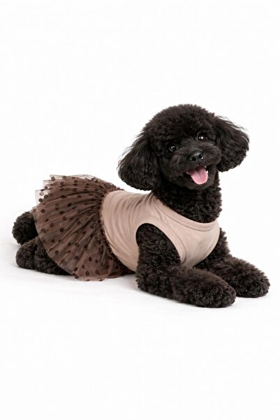 Buddy Store Bej - Kahve Tütülü Yazlık Elbise