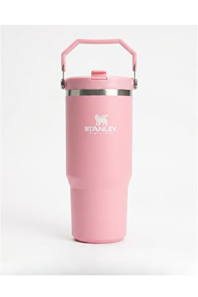 Generic Stanley Style 30 oz Insulated Travel Tumbler with Handle & Straw Lid ...