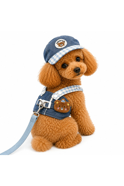 Dolce Pets Kedi ve Köpek Kıyafeti Premium Şapkalı Tasma Set