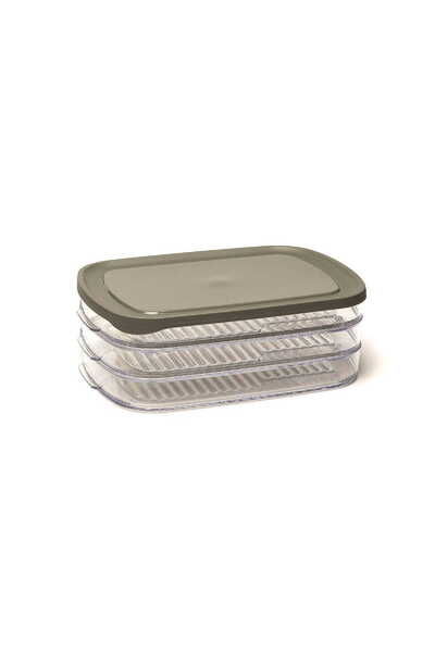 Amuse Caserola pentru mezeluri, Amuse, Plastic, 23.2x16.4x7.9 cm, Transparent