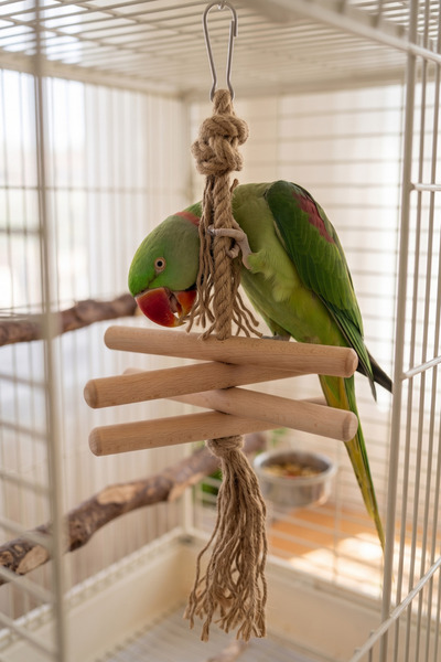 Mivra Pets Parrot Stress Toy Natural Wood Chewing and Shredding Bird Toy
