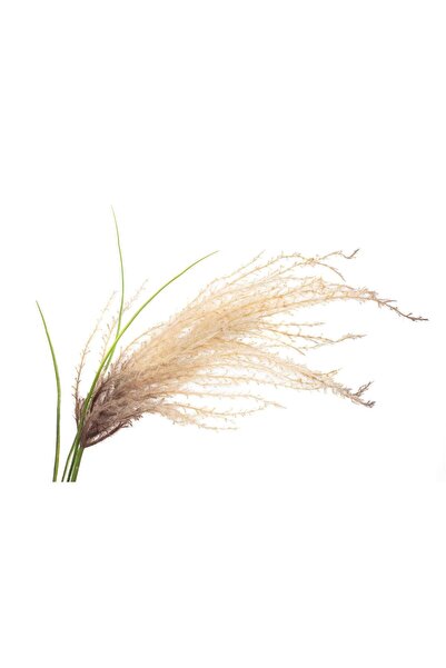 Mikasa Moor Pampas Krem Yapay Çiçek 81cm