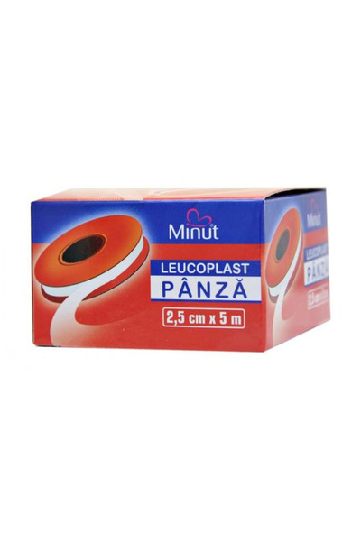 Minut Leucoplast Panza 2,5 cm x 5 m